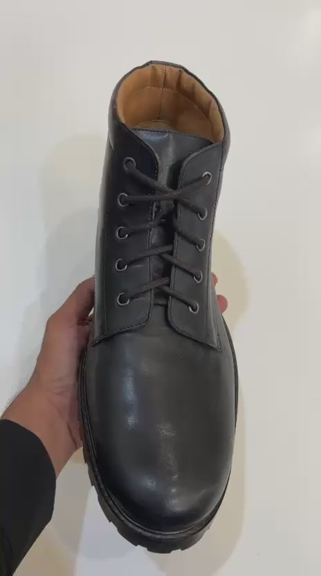 Edinet video